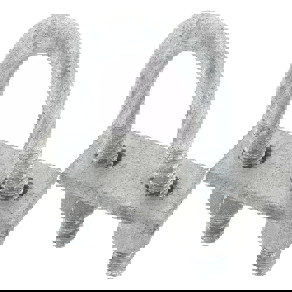 Round U-Bolt: With Mount Plate, 1/4-20 UNC, 3/4